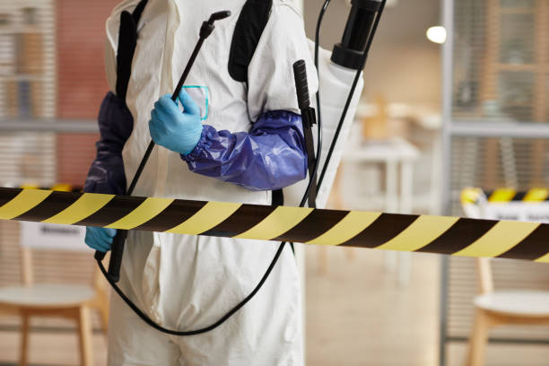 Professional Sewage Cleanup technician working in Hatley, WI